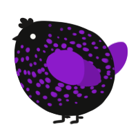 A black and violet chicken with a speckle pattern