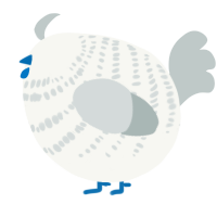 A white and silver chicken with a bar pattern