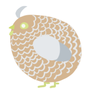 A beige and mist chicken with a lace pattern