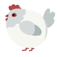 A white and silver chicken with a head pattern