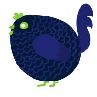 A tumblr and navy chicken with a lace pattern