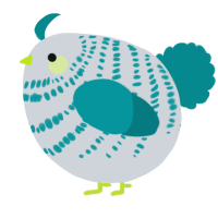 A mist and teal chicken with a bar pattern