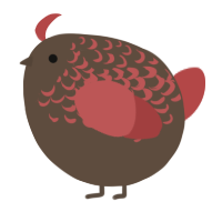 A bark and red chicken with a half-lace pattern