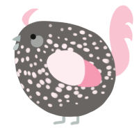 A grey and rose chicken with a speckle pattern