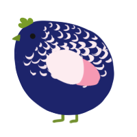 A navy and rose chicken with a half-lace pattern
