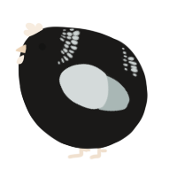 A sable and silver chicken with a neck-band pattern