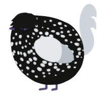 A black and mist chicken with a speckle pattern