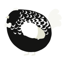 A black and white chicken with a half-lace pattern
