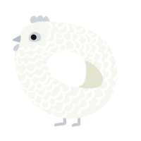 A white chicken with a lace pattern