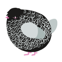 A sable and silver chicken with a double-lace pattern