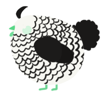 A white and sable chicken with a lace pattern