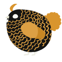 A black and orange chicken with a lace pattern