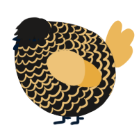 A sable and honey chicken with a lace pattern