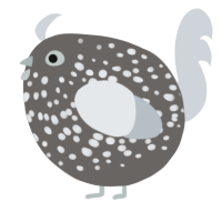 A grey and mist chicken with a speckle pattern