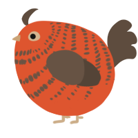A vermilion and bark chicken with a bar pattern