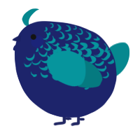 A navy and teal chicken with a half-lace pattern