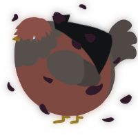 A russet and bark chicken with a head pattern