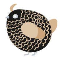 A sable and beige chicken with a lace pattern