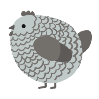 A silver and grey chicken with a lace pattern