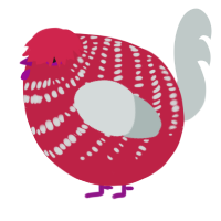 A crimson and silver chicken with a bar pattern