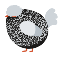 A sable and mist chicken with a double-lace pattern