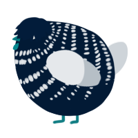 A tumblr and mist chicken with a bar pattern