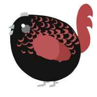 A black and red chicken with a half-lace pattern