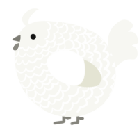 A white chicken with a lace pattern