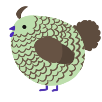A gluppy and bark chicken with a lace pattern