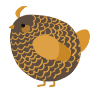 A bark and orange chicken with a lace pattern