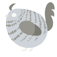 A mist and ash chicken with a bar pattern