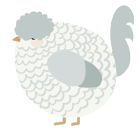 A white and silver chicken with a lace pattern