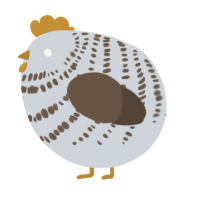 A mist and bark chicken with a bar pattern