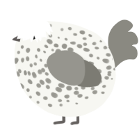 A white and ash chicken with a speckle pattern