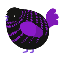 A black and violet chicken with a bar pattern