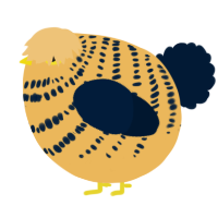 A honey and tumblr chicken with a bar pattern