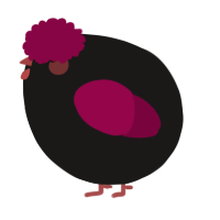 A sable and maroon chicken