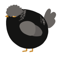 A black and grey chicken with a neck-band pattern