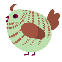 A gluppy and russet chicken with a bar pattern
