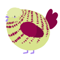 A lemon and maroon chicken with a bar pattern