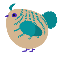 A beige and teal chicken with a half-bar pattern