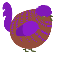 A russet and violet chicken with a bar pattern