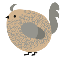A beige and ash chicken with a double-lace pattern