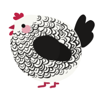 A white and sable chicken with a double-lace pattern