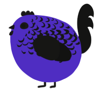 A indigo and black chicken with a half-lace pattern
