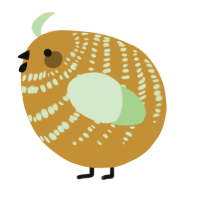 A gold and gluppy chicken with a bar pattern