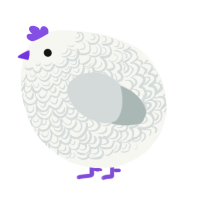 A white and silver chicken with a double-lace pattern