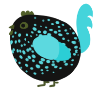 A black and aqua chicken with a speckle pattern