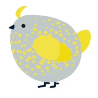 A silver and yellow chicken with a speckle pattern