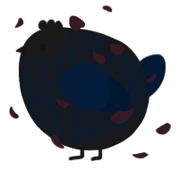 A sable and tumblr chicken with a double-lace pattern